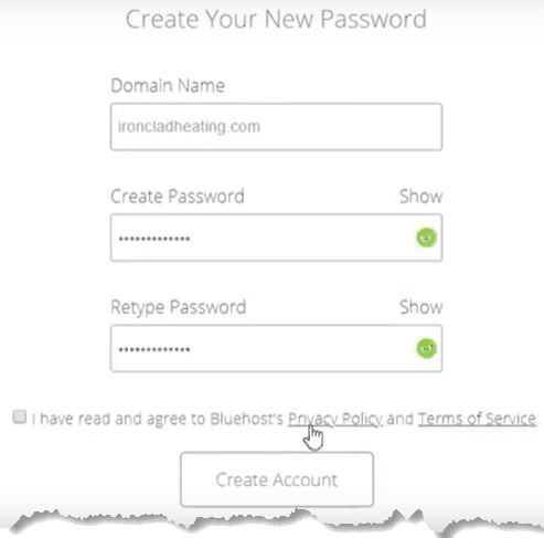 Set your password and agree to terms